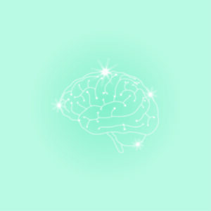 brain